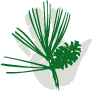 Evergreen PT Specialists Logo
